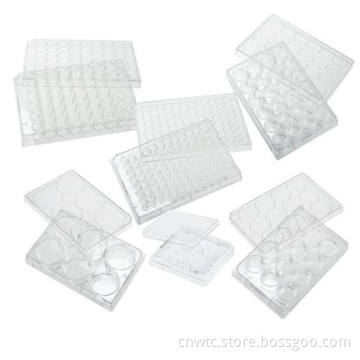 Search Engine Title: Tissue Culture Lab Supplies - 96 Well & 6 Well TC Treated Plates